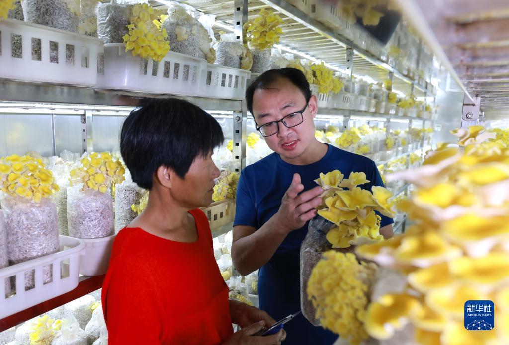六台至尊app官网苹果